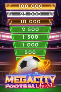 Megacity Football Fever